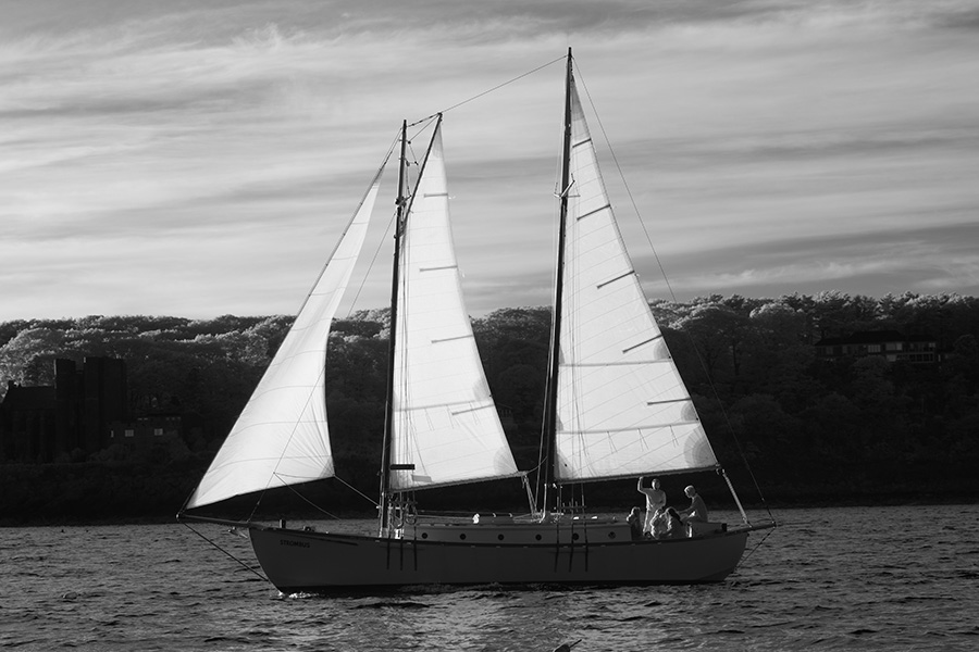 Backlit Infrared Photo of Sailboat Underway.